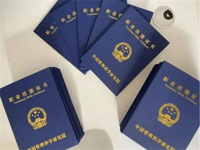 荣誉证书定制 荣誉证书定制-蓝白极简政务风